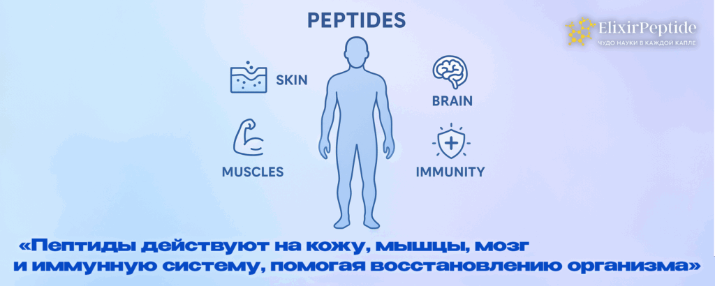 peptidy-v-kosmetologii-kak-rabotayut-preimushchestva-i-komu-podhodyat