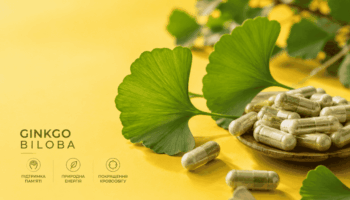 URL: ginkgo-biloba-listya-i-kapsuly Alt: Листя та капсули гінкго білоба на жовтому фоні для статті про памʼять і кровообіг