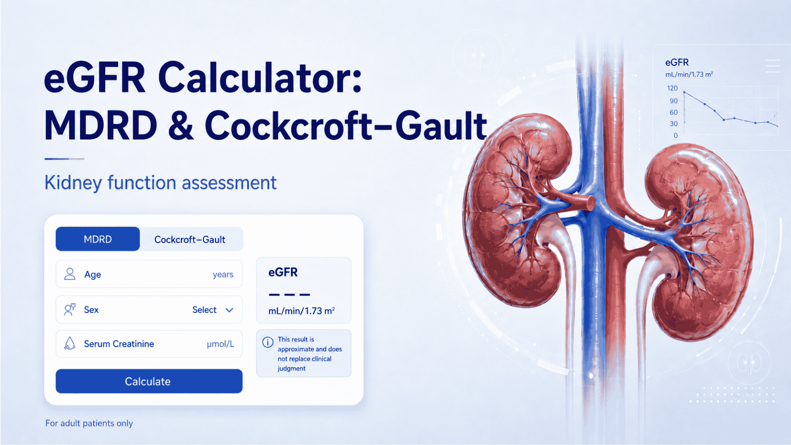 Mdrd Rfg eGFR Calculator MDRD and Cockcroft–Gault Online