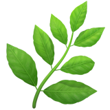 Oregano Oil — природный антибиотик Oregano Oil