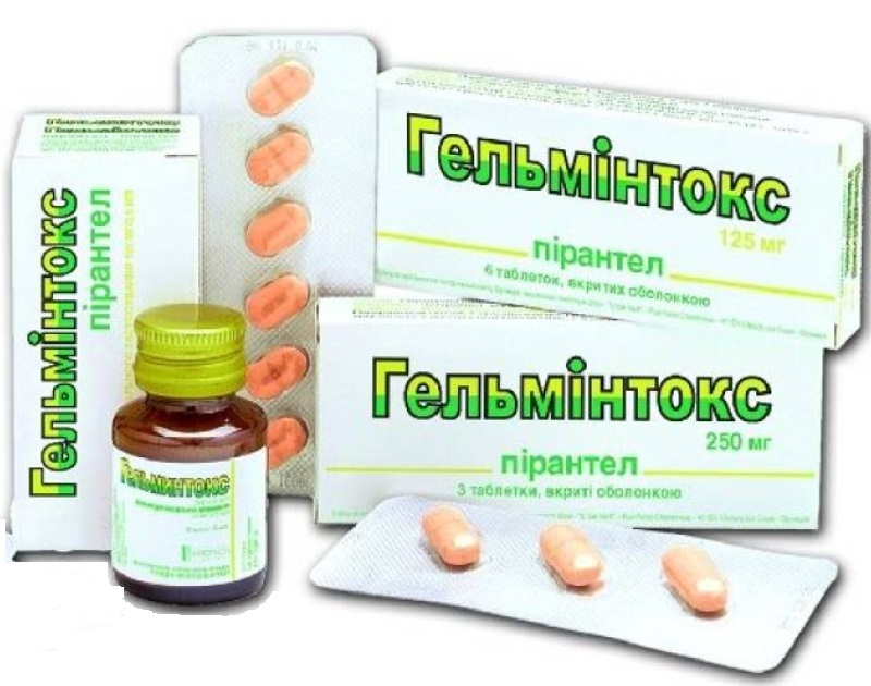 Hatékony Tabletták és Gyógyszerek A Pinwormok Ellen: Vételi Funkciók